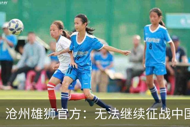 沧州雄狮官方:无法继续征战中国足球职业联赛